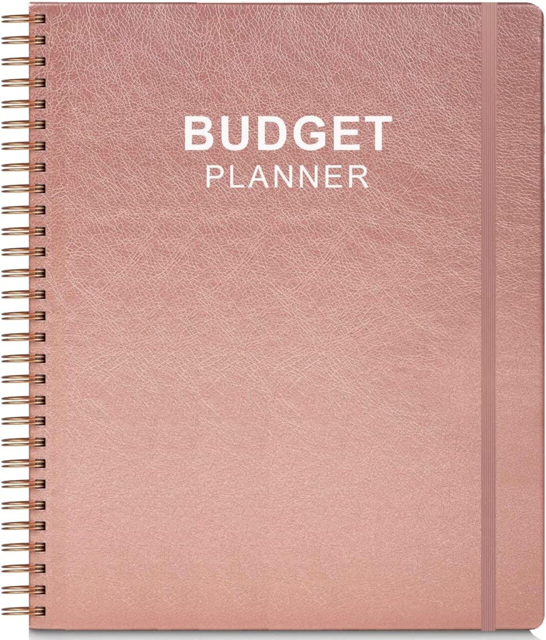 Budget Planner - Monthly Finance Organizer with Expense Tracker Notebook to  Manage Your Money Effectively, Undated Finance Planner/Account Book, Start  Anytime, 1 Year Use, A5, Rose
